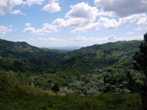 SEABRIDGE plants 900 trees in the Dominican Republic