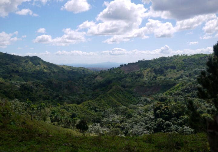 SEABRIDGE plants 900 trees in the Dominican Republic